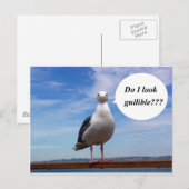 zeemeeuw briefkaart (Voorkant / Achterkant)