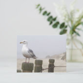 zeemeeuw briefkaart (Staand voorkant)