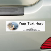 zeemeeuw bumpersticker (Op auto)