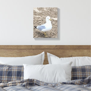 zeemeeuw canvas afdruk