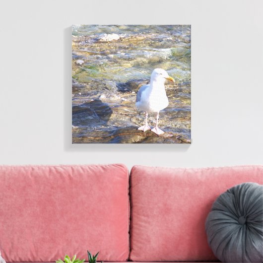 zeemeeuw canvas print (Insitu (Woonkamer))