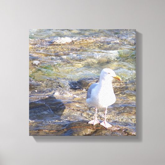 zeemeeuw canvas print (Voorkant)