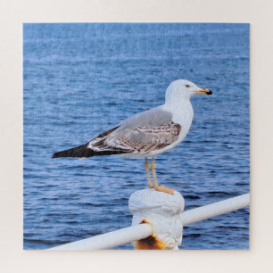 Zeemeeuw Constanta Roemenië – Zwarte Zee-fotografi Legpuzzel