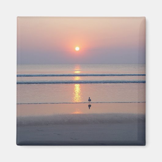 Zeemeeuw Daytona Beach FL Ocean Sunrise Magneet (Voorkant)