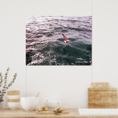 ZEEMEEUW DIE OVER DE GOLVEN VLIET POSTER (Keuken)