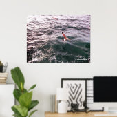 ZEEMEEUW DIE OVER DE GOLVEN VLIET POSTER (Thuiskantoor)