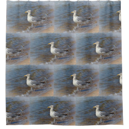 Zeemeeuw door de zeeschildpad douchegordijn (Voorkant)
