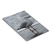 Zeemeeuw door het Zee Notitieboek (Rechterzijde)