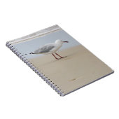 Zeemeeuw door het Zee Notitieboek (Rechterzijde)