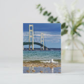 Zeemeeuw door Mackinac Bridge Briefkaart (Staand voorkant)