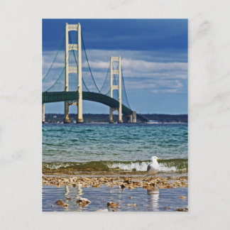 Zeemeeuw door Mackinac Bridge Briefkaart