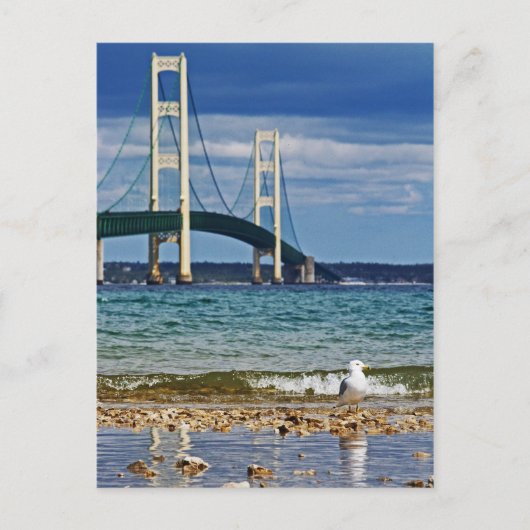 Zeemeeuw door Mackinac Bridge Briefkaart (Voorkant)