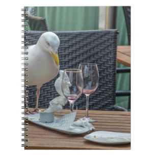 Zeemeeuw en leeg glazennotitieboekje notitieboek