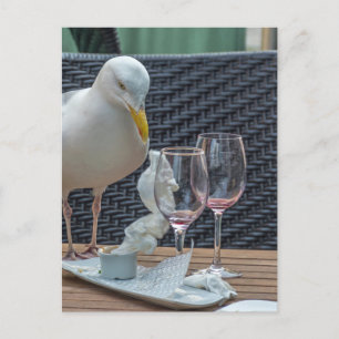 Zeemeeuw en lege glazen uitzicht briefkaart