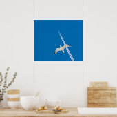 Zeemeeuw en vliegtuig poster (Keuken)