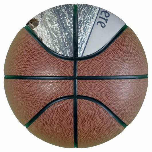 Zeemeeuw en zee basketbal (Rechts)