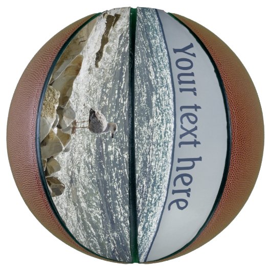 Zeemeeuw en zee basketbal (Verticaal)