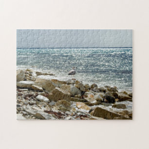 Zeemeeuw en zee legpuzzel