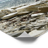 Zeemeeuw en zee poster (Hoek)