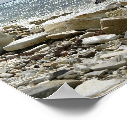 Zeemeeuw en zee poster (Hoek)