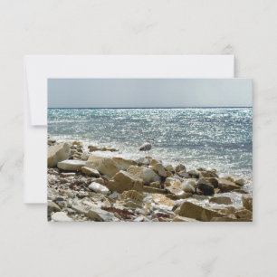 Zeemeeuw en zee RSVP kaartje