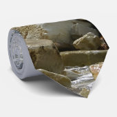 Zeemeeuw en zee stropdas (Opgerold)