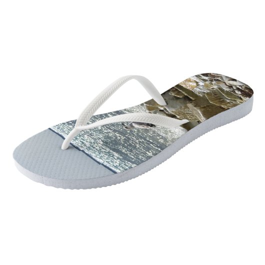 Zeemeeuw en zee teenslippers (Schuin)