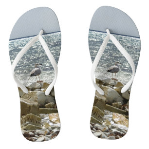 Zeemeeuw en zee teenslippers