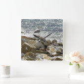 Zeemeeuw en zee vierkante klok (Huis)