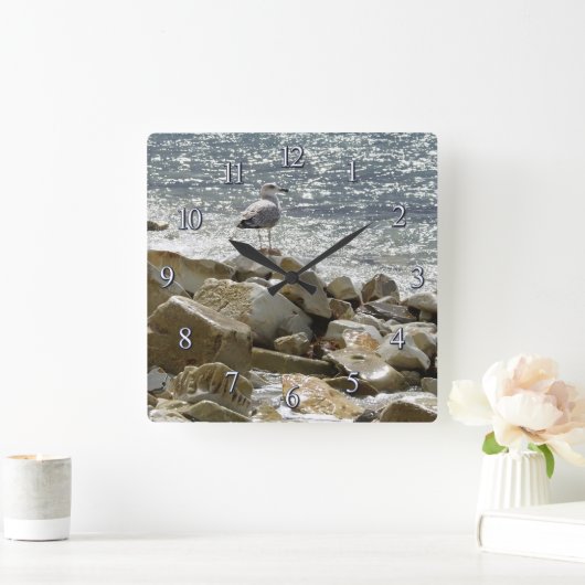 Zeemeeuw en zee vierkante klok (Huis)