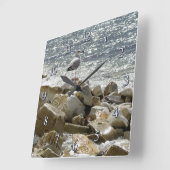 Zeemeeuw en zee vierkante klok (Hoek)