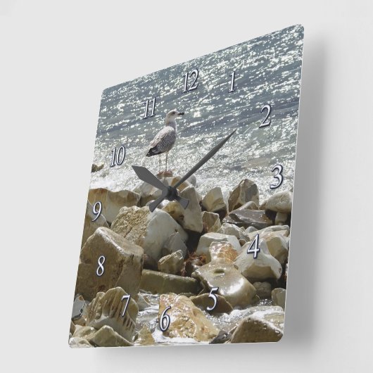 Zeemeeuw en zee vierkante klok (Hoek)