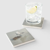 Zeemeeuw en zeewier op strand stenen onderzetter (Zijkant)