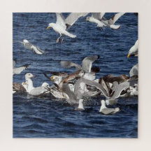 Zeemeeuw Feeding Frenzy Acrylpuzzel