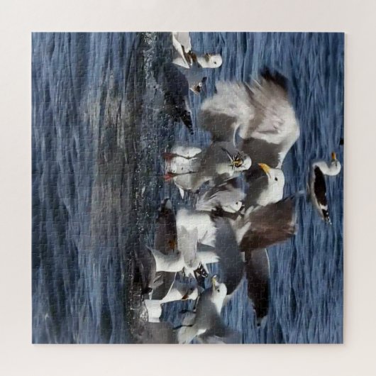 Zeemeeuw Feeding Frenzy Acrylpuzzel Legpuzzel (Horizontaal)