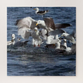 Zeemeeuw Feeding Frenzy Acrylpuzzel Legpuzzel