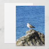 zeemeeuw feestdagenkaart (Voorkant / Achterkant)