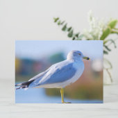 zeemeeuw feestdagenkaart (Staand voorkant)