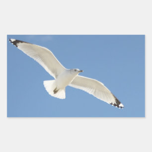 Zeemeeuw foto rechthoekige sticker