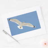 Zeemeeuw foto rechthoekige sticker (Envelop)