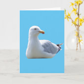 zeemeeuw groeten tekst toevoegen Kaart (Gele Bloem)