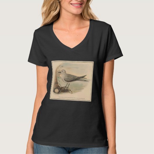 zeemeeuw illustratie 1906 t-shirt (Voorkant)
