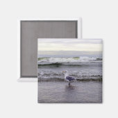 Zeemeeuw in de oceaanmagneet magneet (Voorkant / Achterkant)