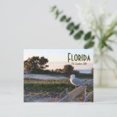 Zeemeeuw in Florida Sunshine State Huwelijksreis e Briefkaart (Staand voorkant)