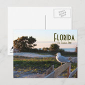 Zeemeeuw in Florida Sunshine State Huwelijksreis e Briefkaart (Voorkant / Achterkant)