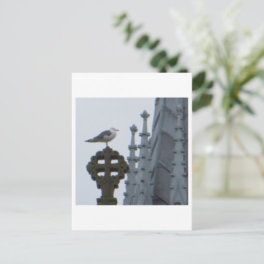 Zeemeeuw in Glasgow Briefkaart (Staand voorkant)