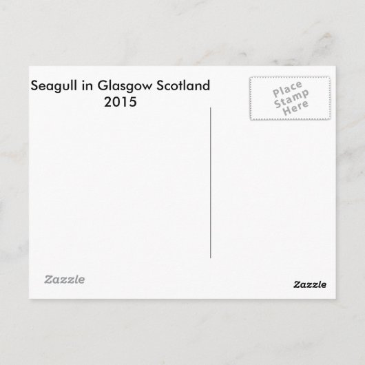 Zeemeeuw in Glasgow Briefkaart (Achterkant)