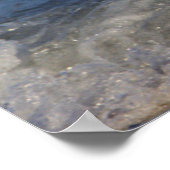 Zeemeeuw in het Poster van de Oceaan (Hoek)