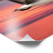 Zeemeeuw in mooie vlucht foto afdruk (Hoek)