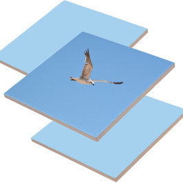 Zeemeeuw in vlucht blauw tegeltje